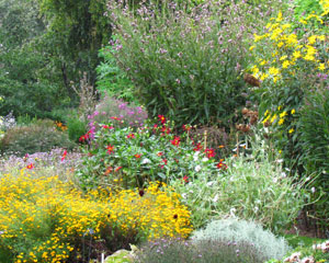 Image of Chelsea Physic Garden